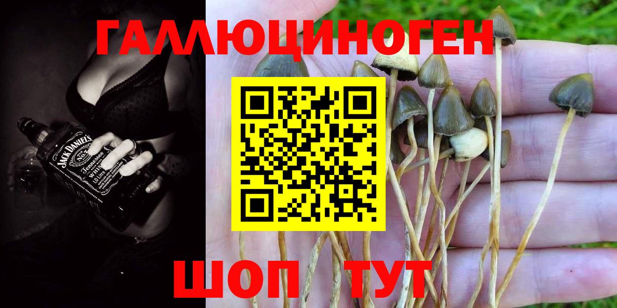 Галлюциногенные грибы мухоморы Наро-Фоминск