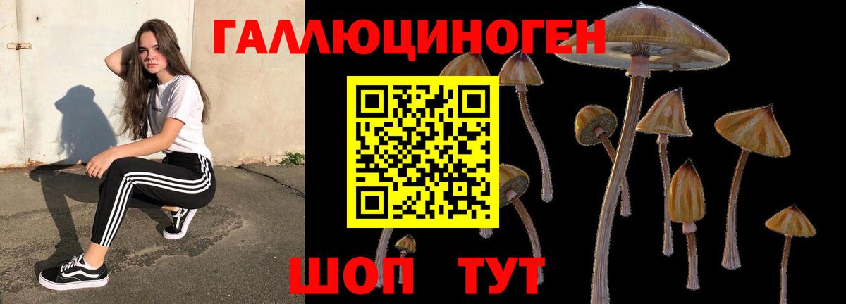 Наро-Фоминск  Псилоцибиновые грибы мицелий  Вход с VPN  Галлюциногенные грибы мицелий 